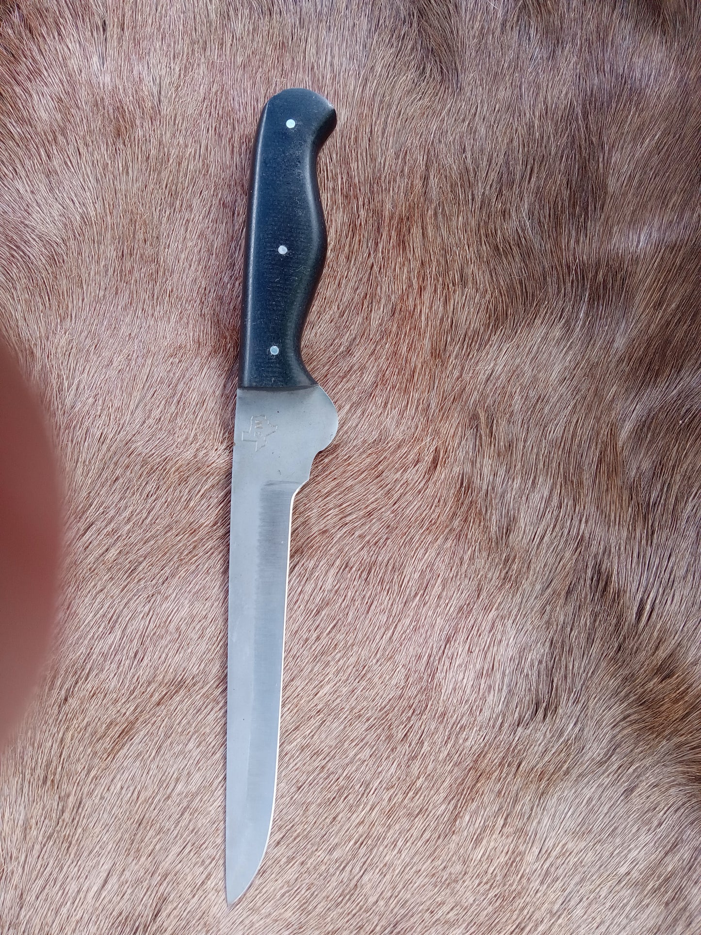 Filet Knife