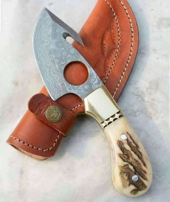 Skinner Collection